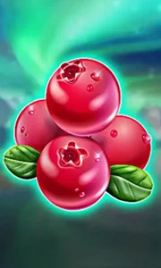 Winterberries