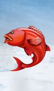 Ice Fishing